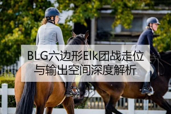 BLG六边形Elk团战走位与输出空间深度解析